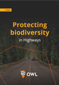 Image of protecting biodiversity in highways cover