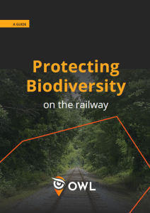 Image of the Protecting Biodiversity on the Railway